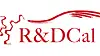 Creative Web Project